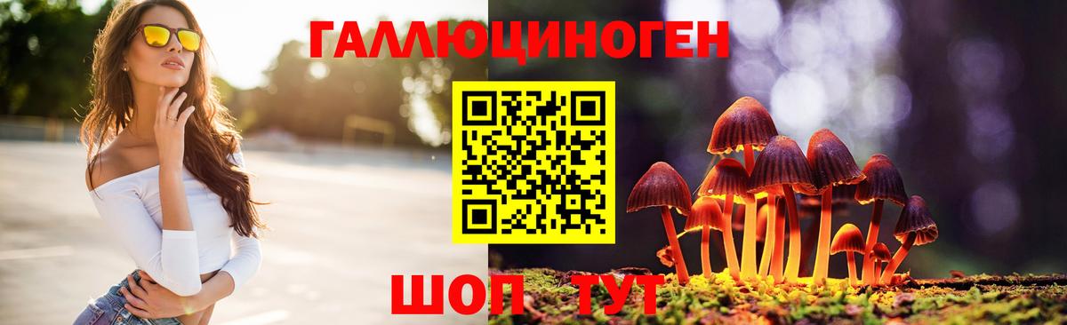 Кинешма  Галлюциногенные грибы Psilocybine cubensis  наркотики  Вход с VPN 